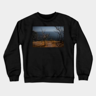 Brown Earth Crewneck Sweatshirt